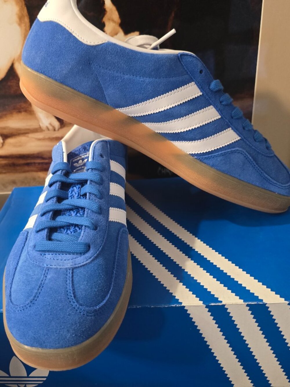 Adidas Gazelle Indoor Blue Bird / Cloud White / Gum JI2061 - Size 12 Mens US NEW